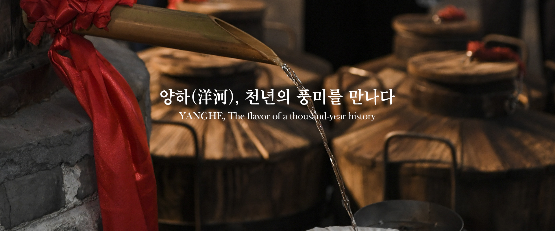메인배너5