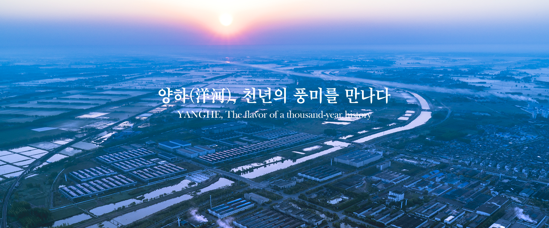 메인배너2
